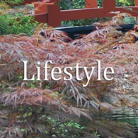 Lifestyle-Topics