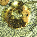 Za'atar, ready to eat image by Lotus, Lady & Verse.