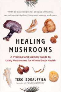Cover illustration for Healing Mushrooms by Tero Isokauppila.